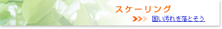 スケーリング