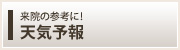 天気予報